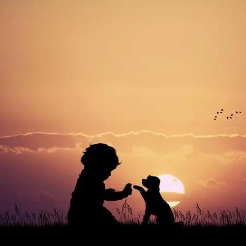 我偷偷碰了一下你