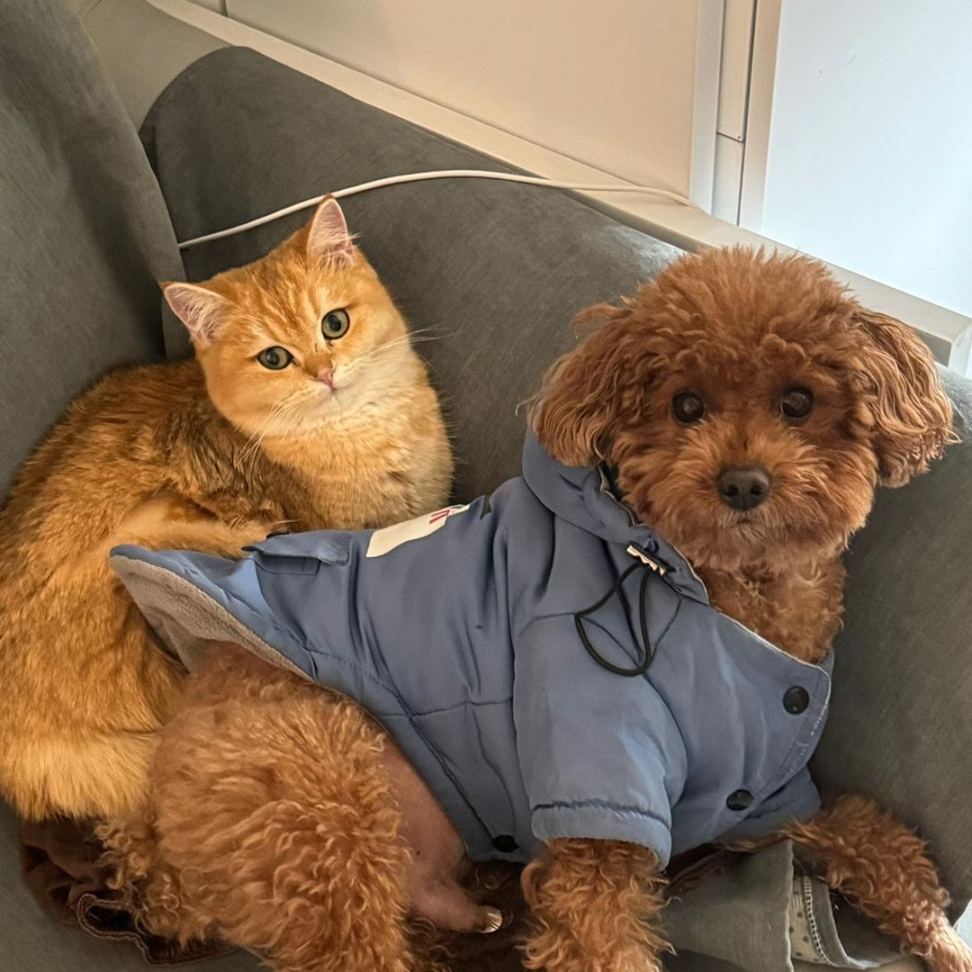 是闹闹和久久吖