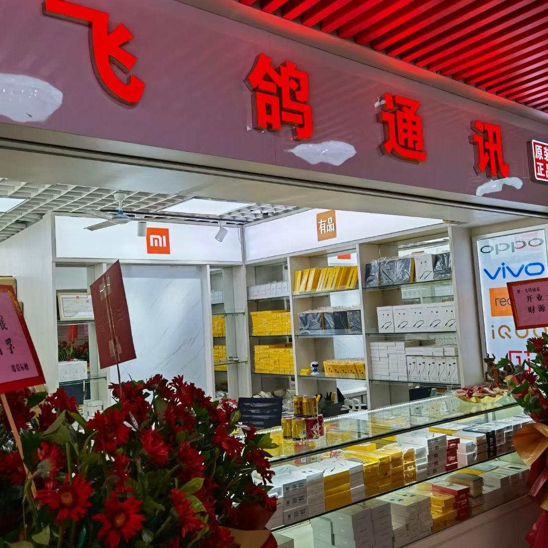 华强北飞鸽数码批发