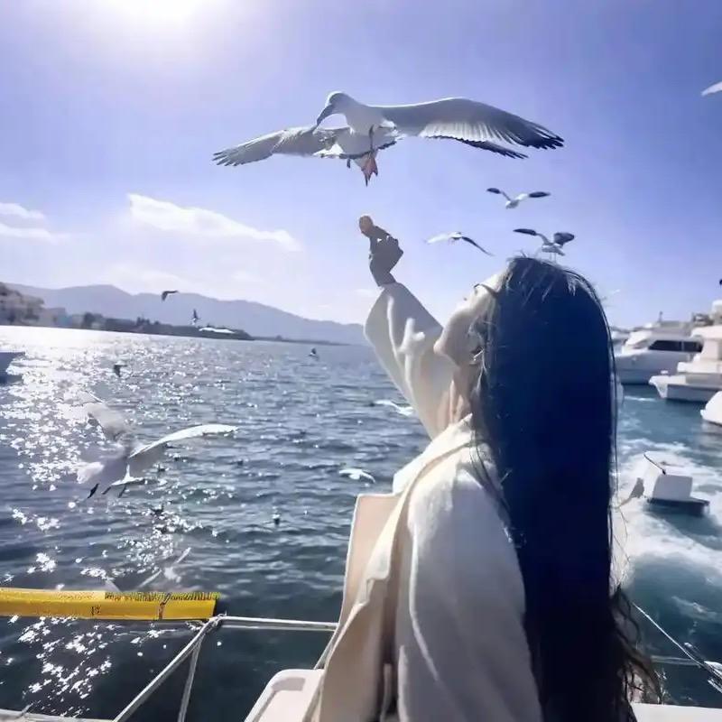 阿信供应链