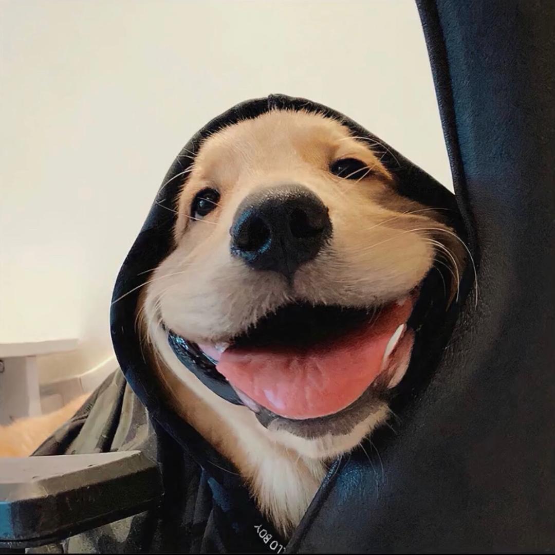 Kun