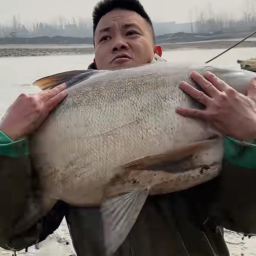 渔兄渔弟强子(好物分享)