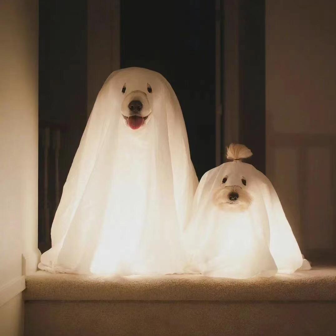 金华市婺城区百分百门窗店