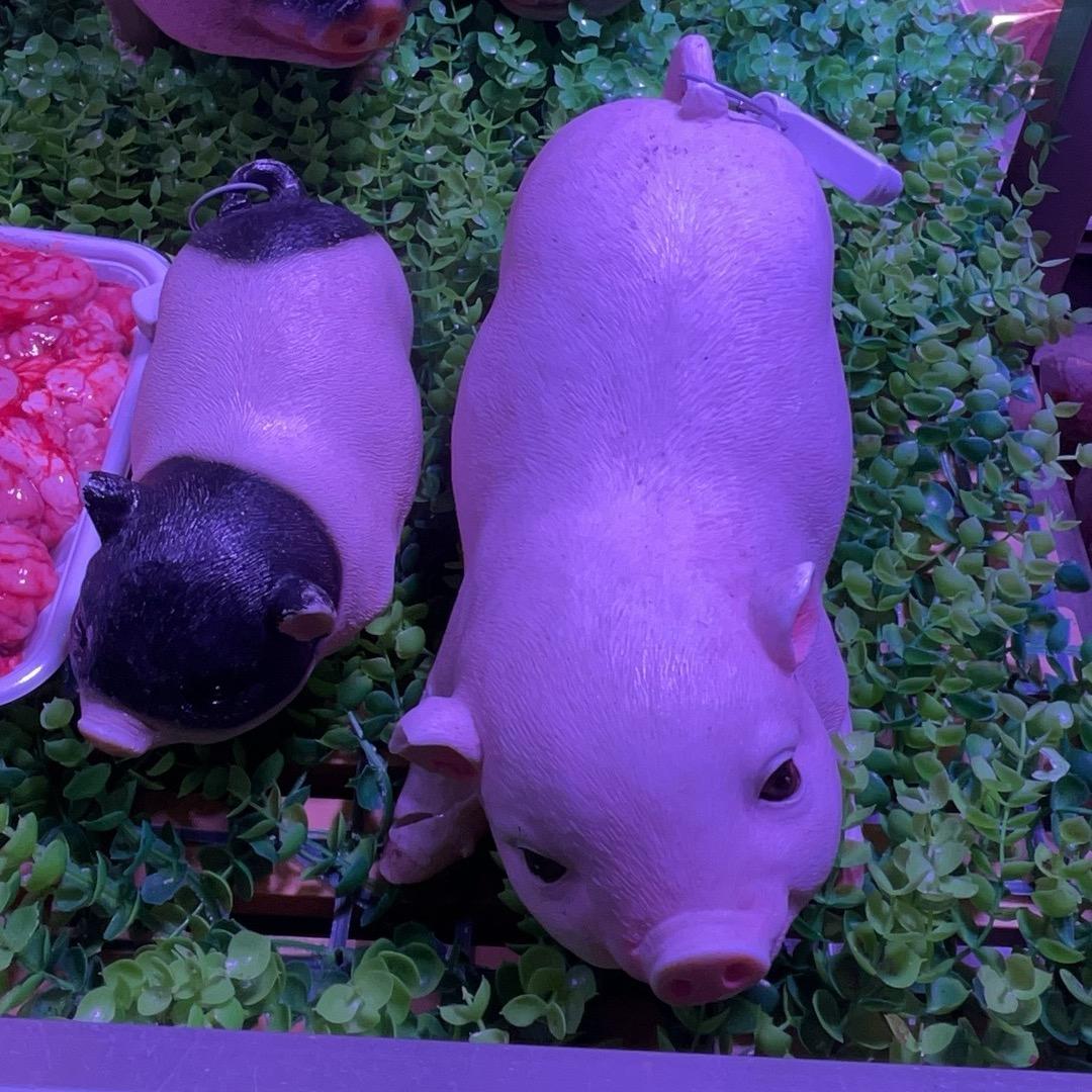 小江⁵²º❤