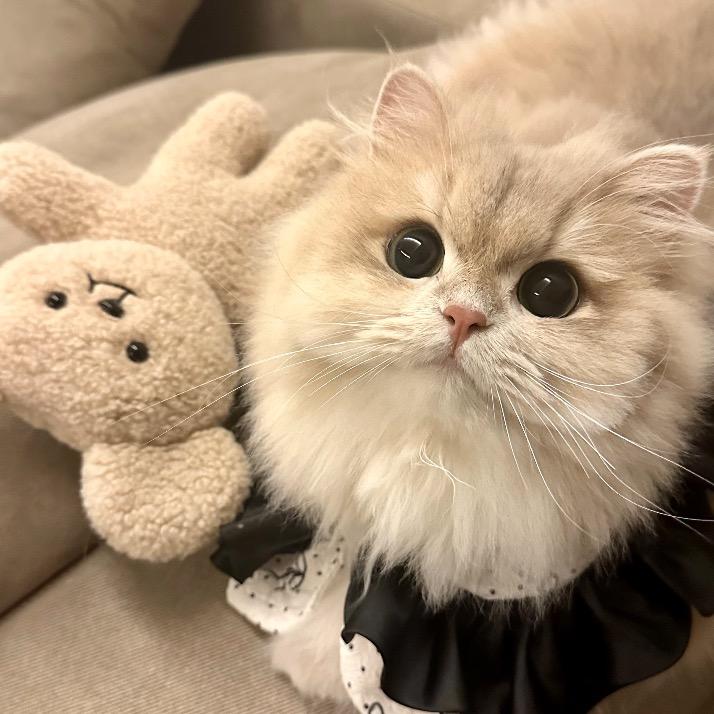 1虚伪鑫💤