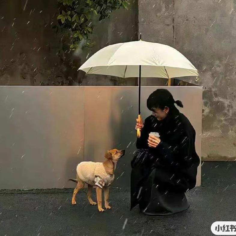 小鱼没吃饱