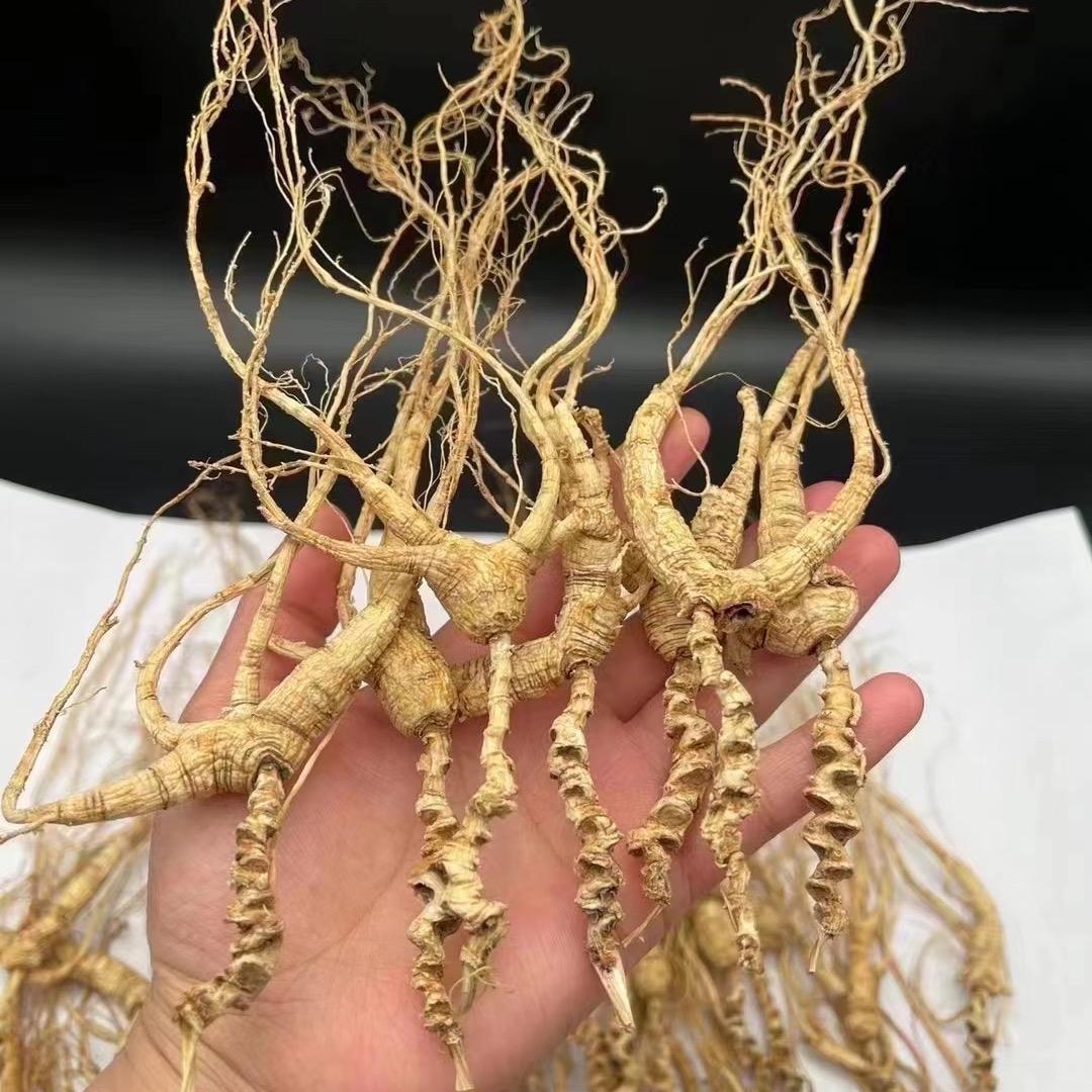 老万林下参好货