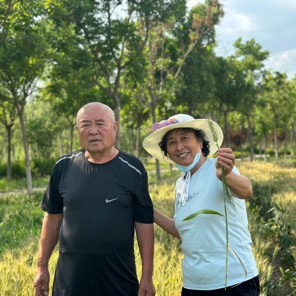 永久和金慧的幸福生活