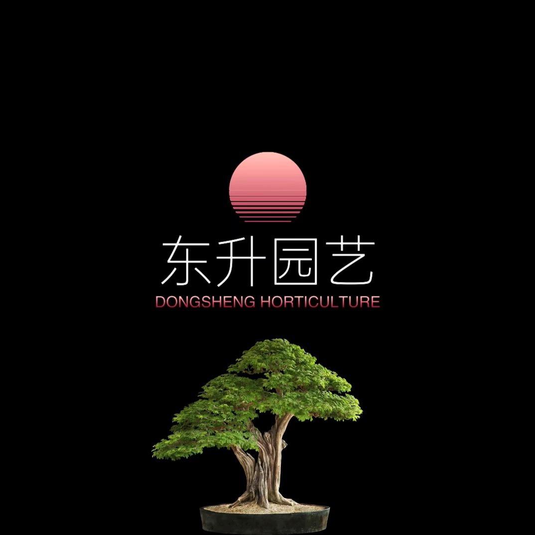 东升园艺