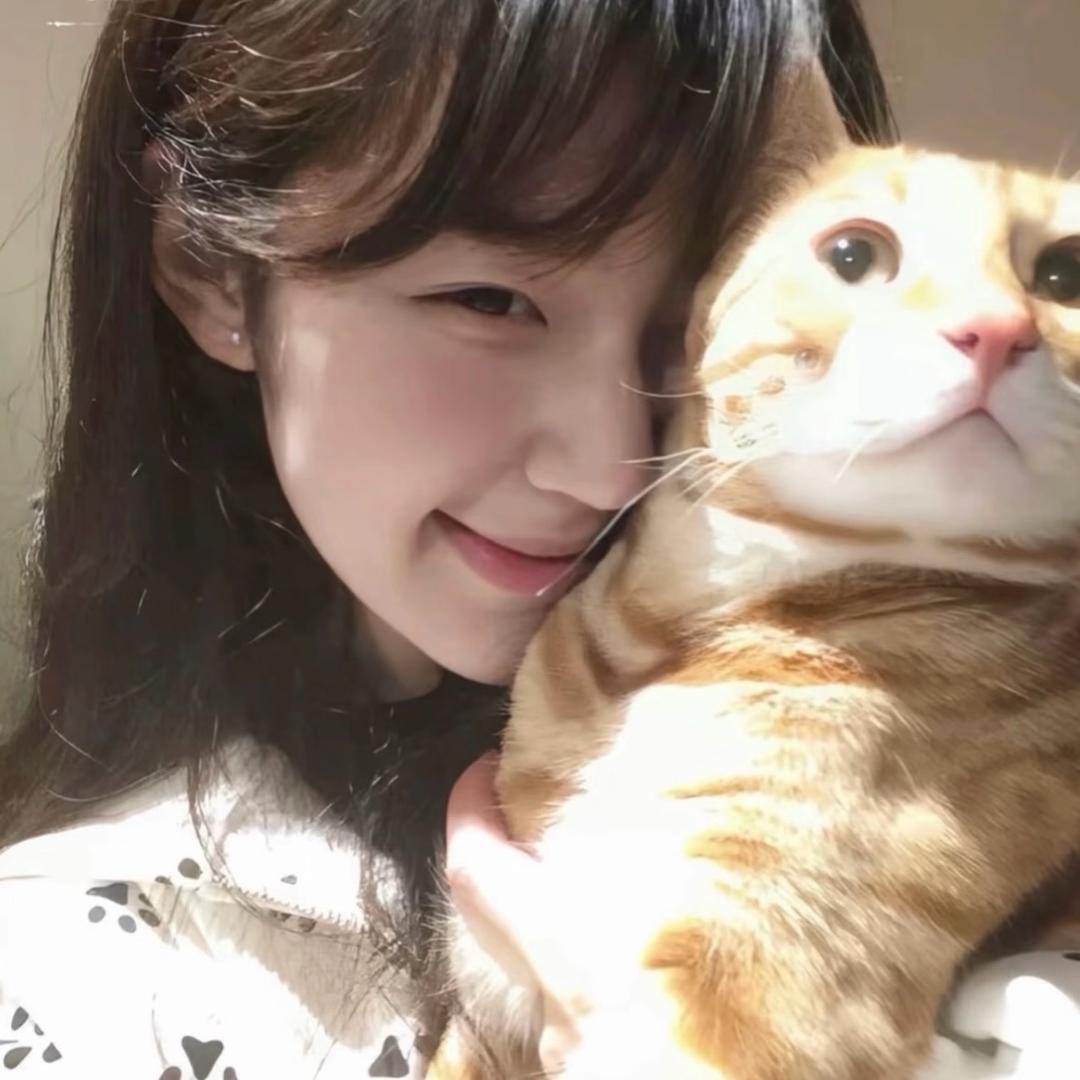 坚强小白羊