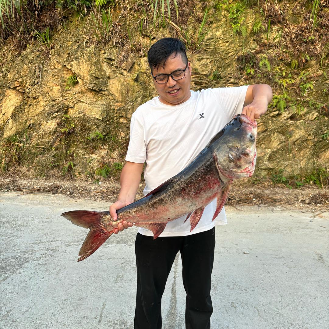 被金融耽误的钓鱼人