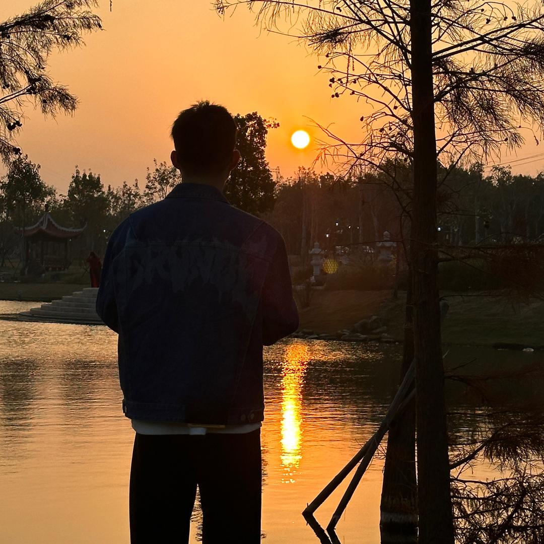向阳🌞