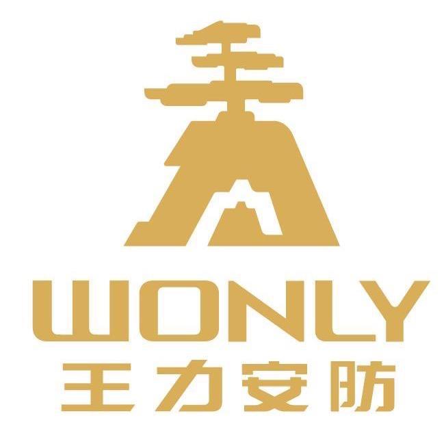 王力智能安全门