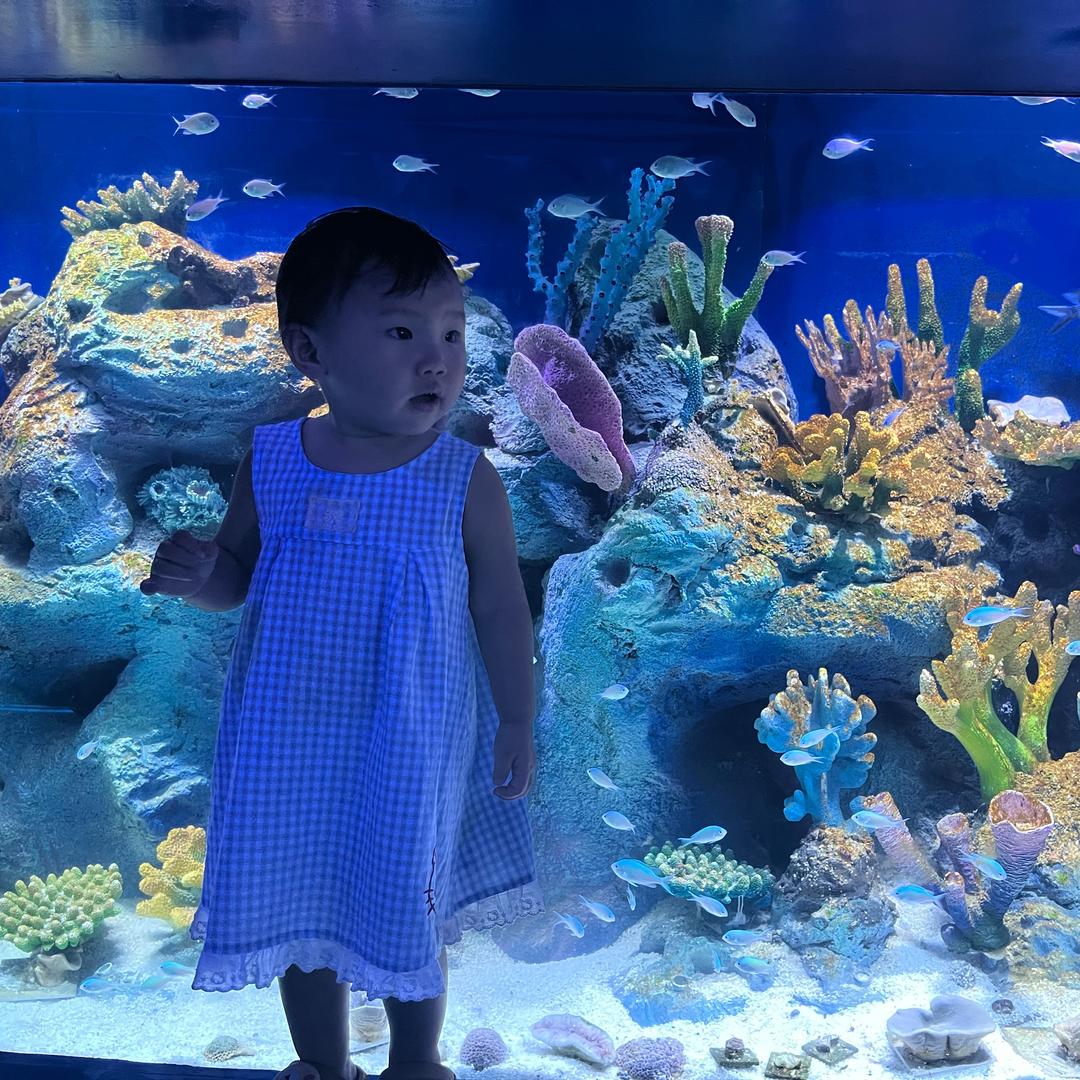 🍃涵涵