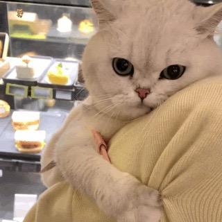 今晚不熬夜