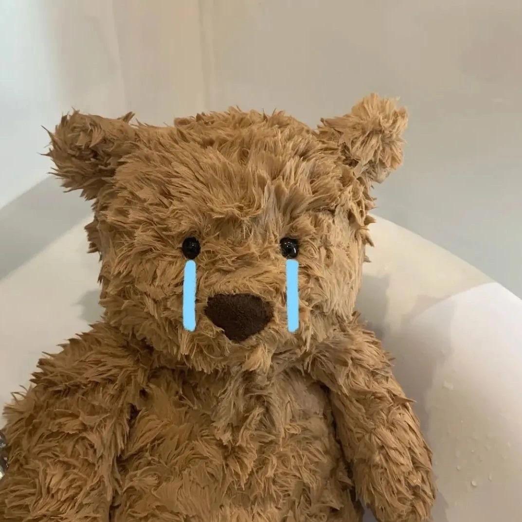 努力睡大觉🧸