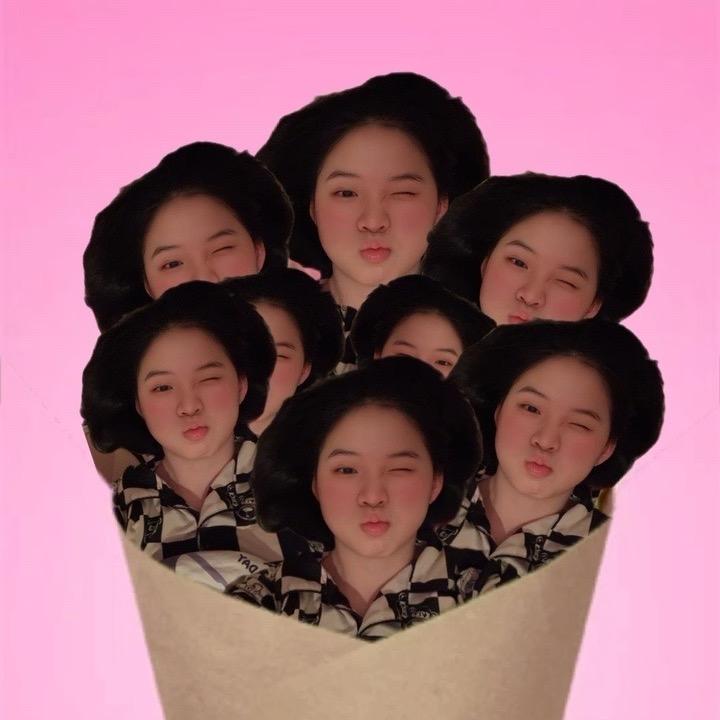 菠萝蜜在山顶数星星