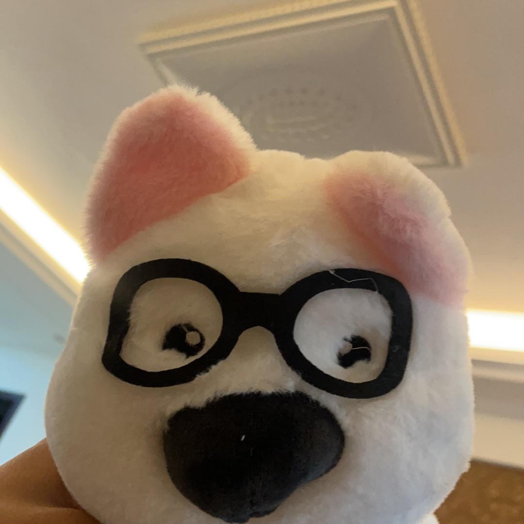 小六租个房