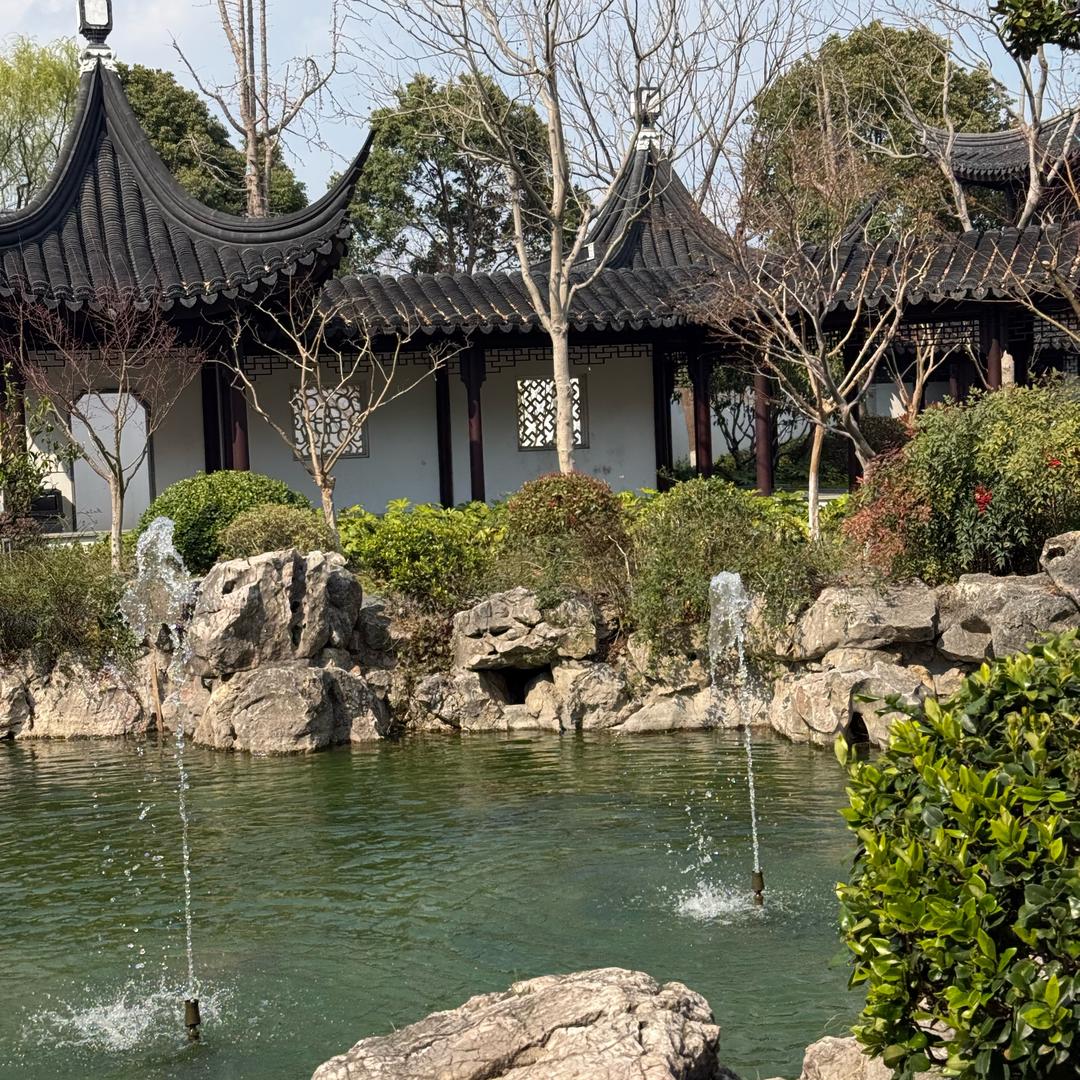 小锦鲤吖