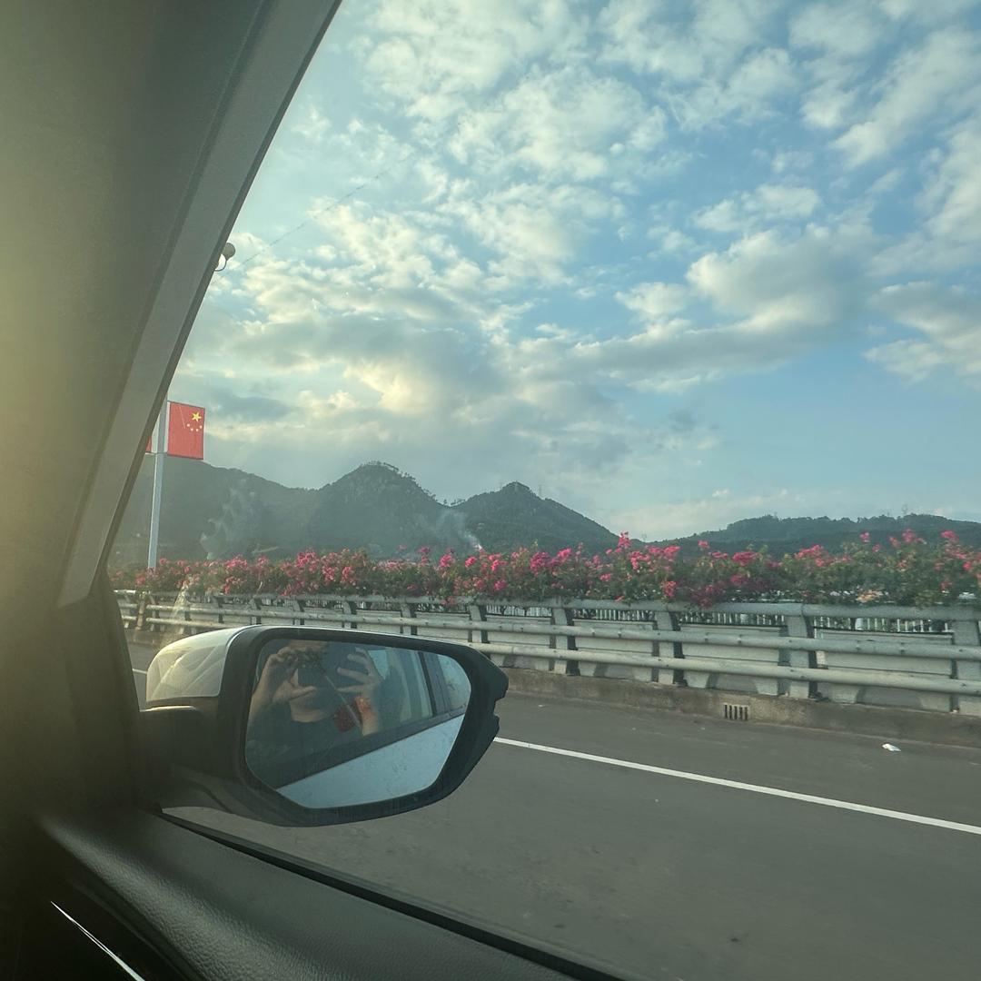 🍃顾栀.🐲🍃🪳