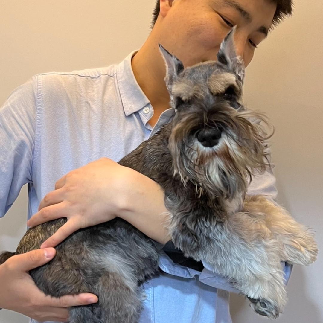 刀戈养狗