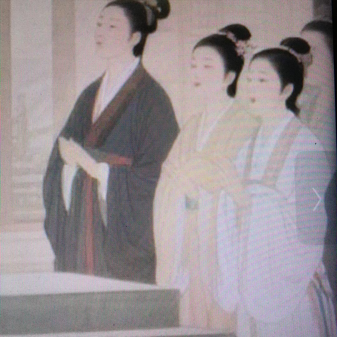 杉杉来迟