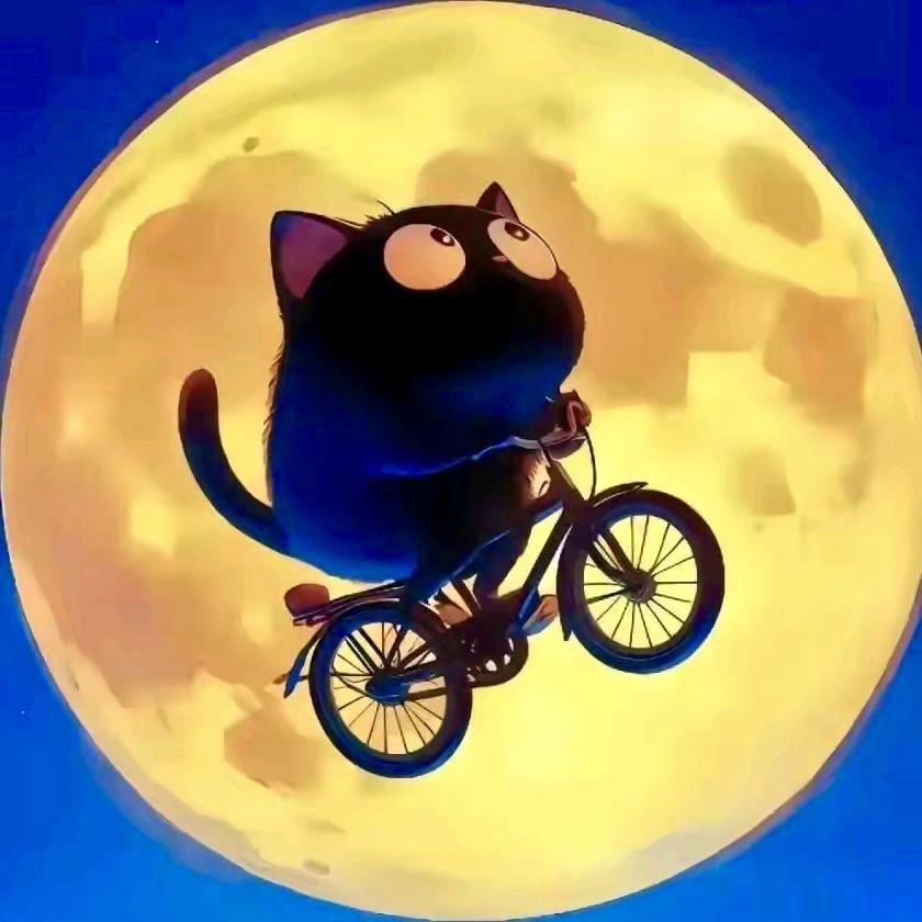 猫鸽