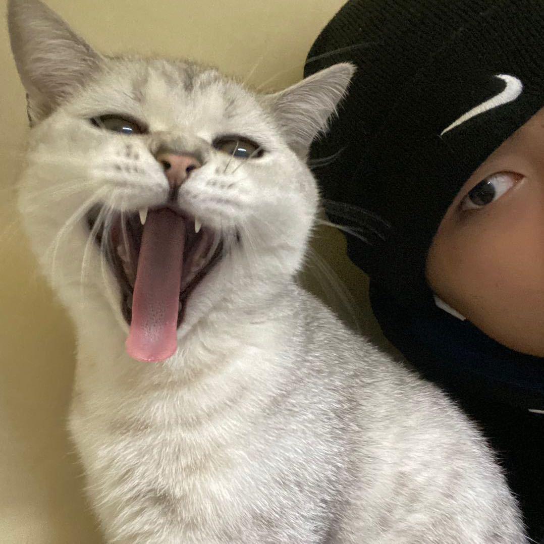 招财旺旺