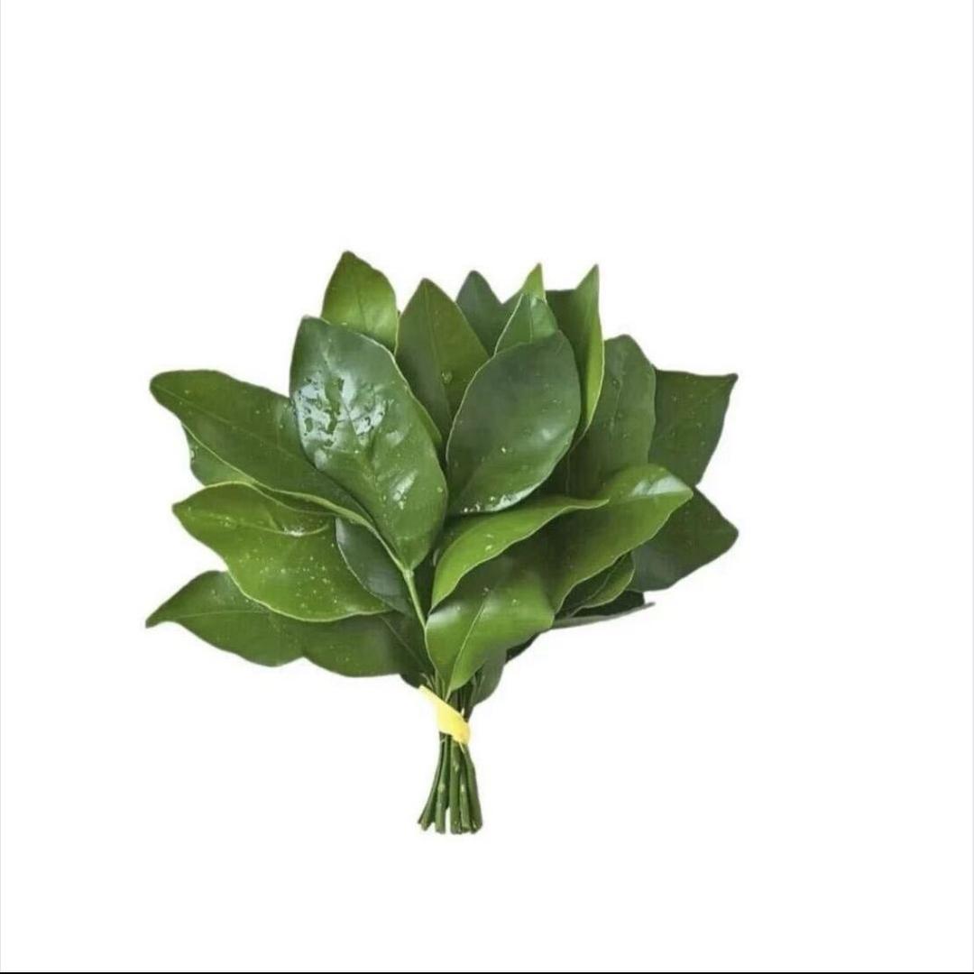 -永远没烦恼ᰔᩚ