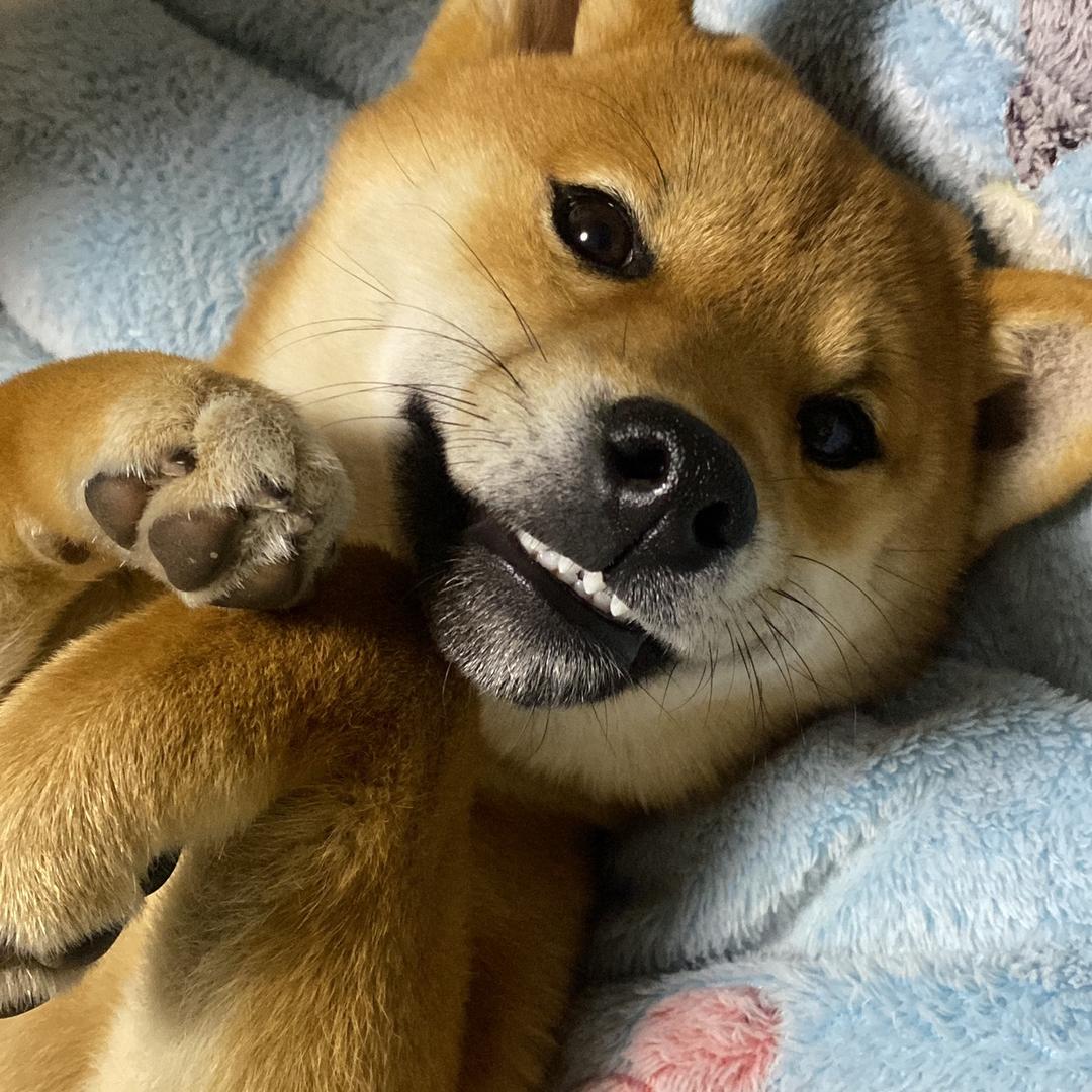 发光发光