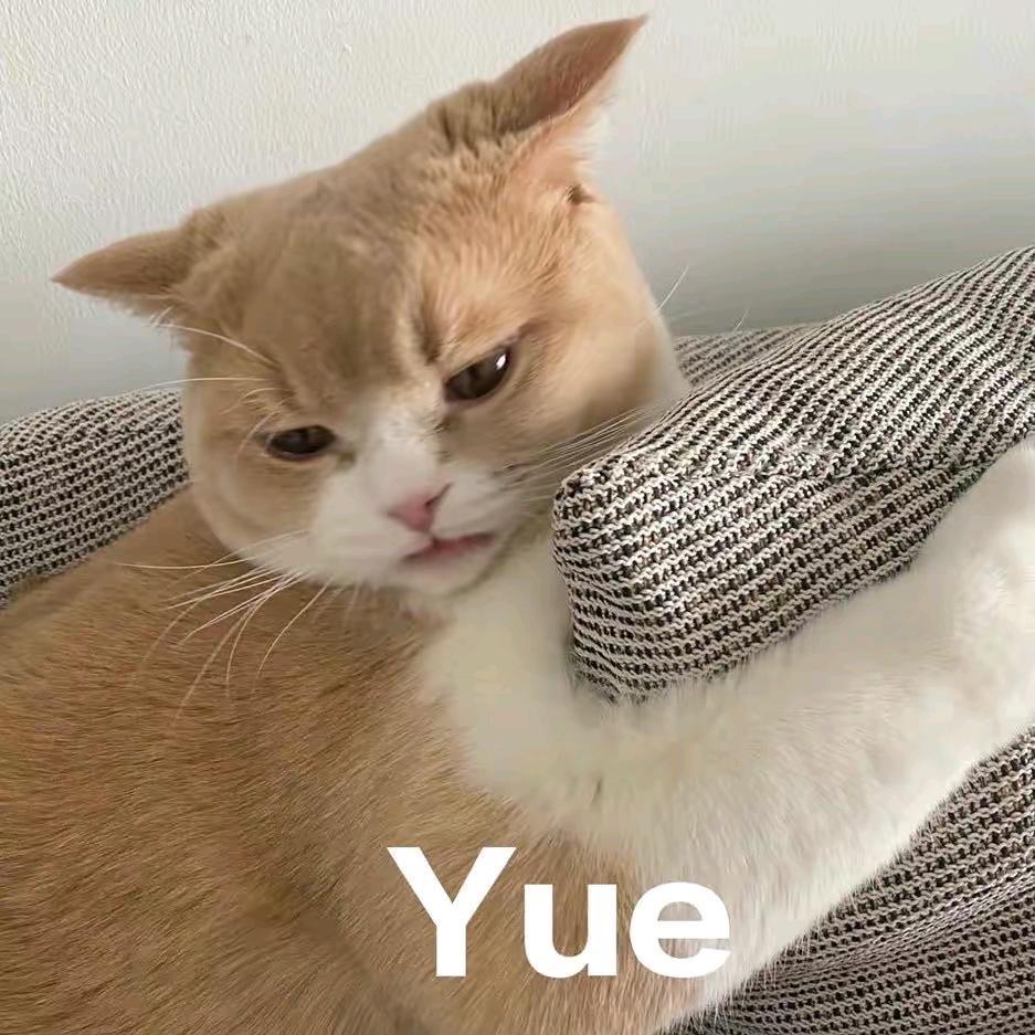 想要成为3D