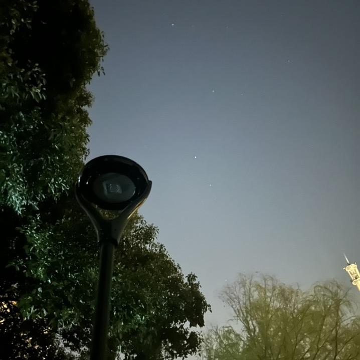 辰爸咨询