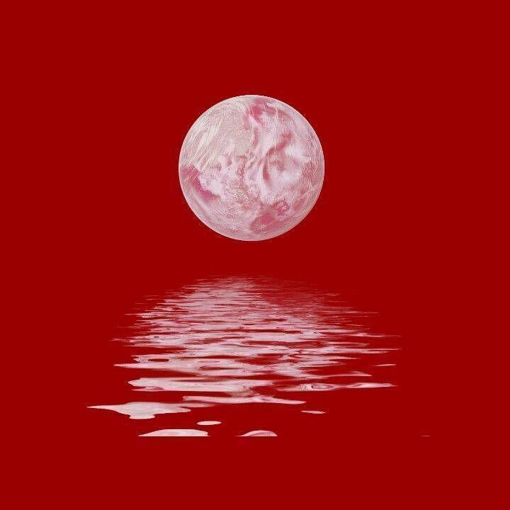 -w-头像
