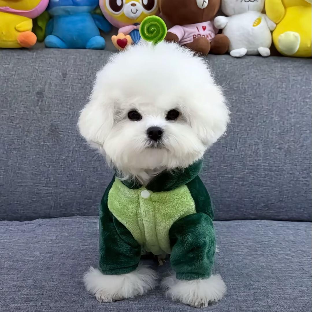 关你西红柿