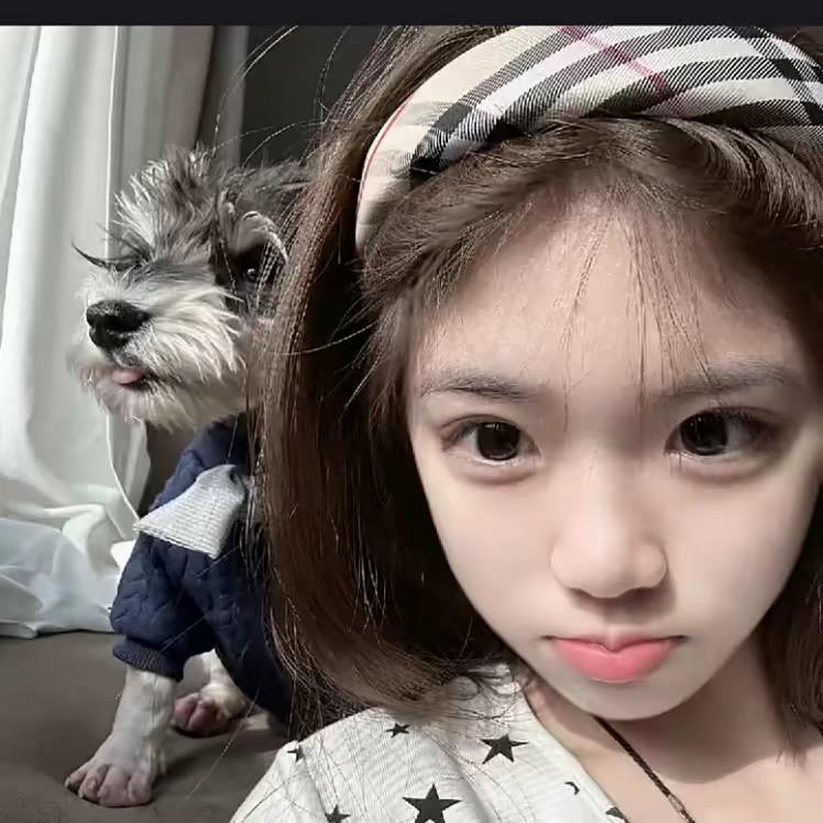 ㅤ  ㅤ