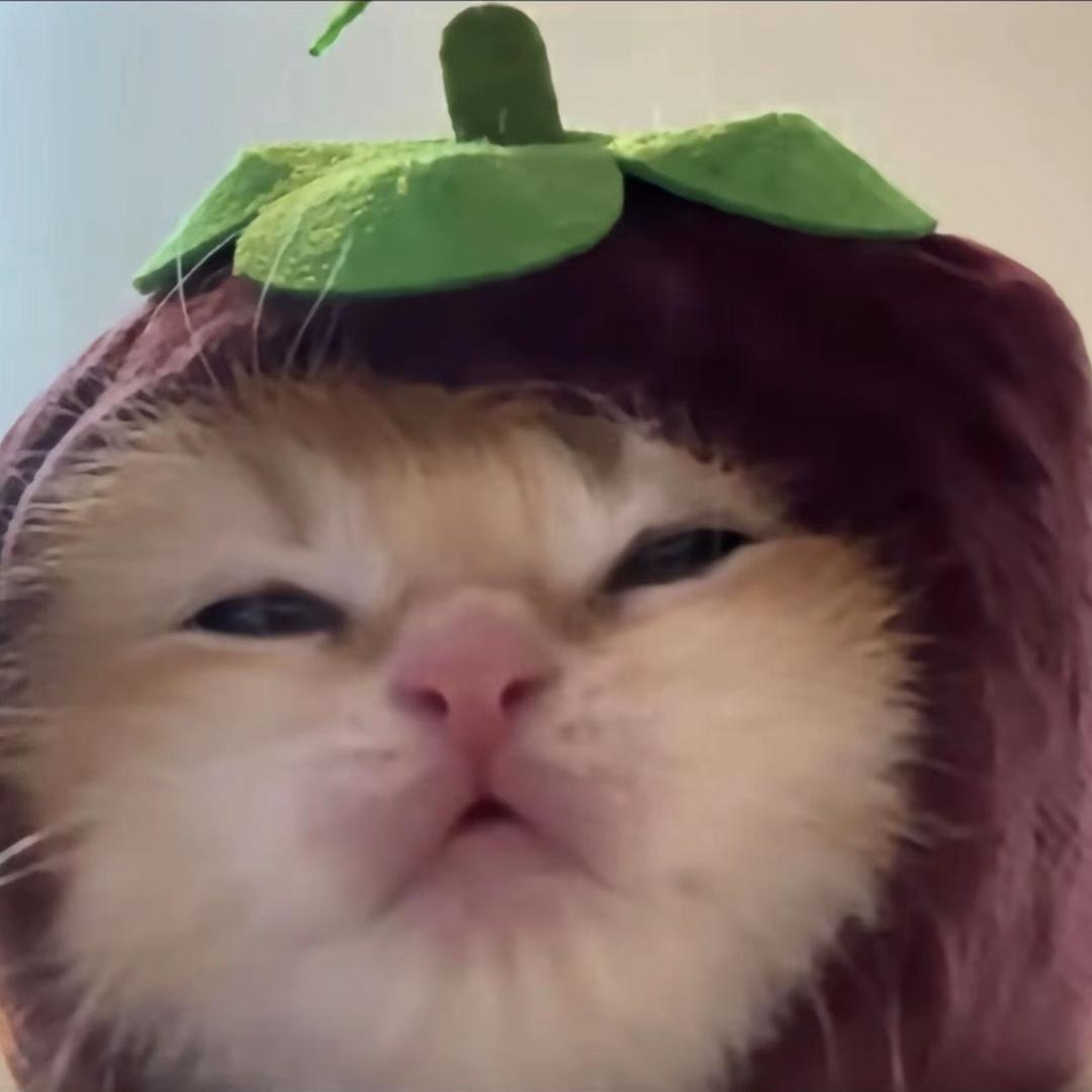 biu（酸奶主理人）