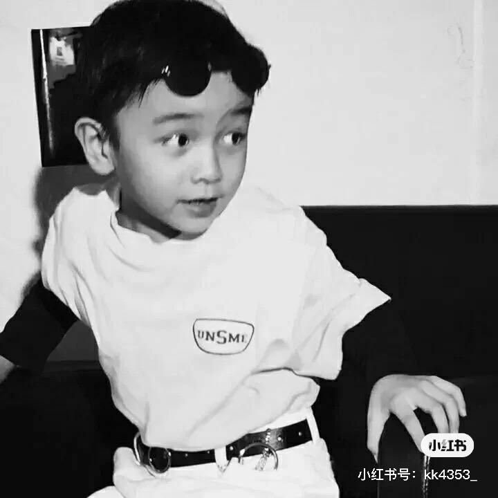 许我一个红楼梦