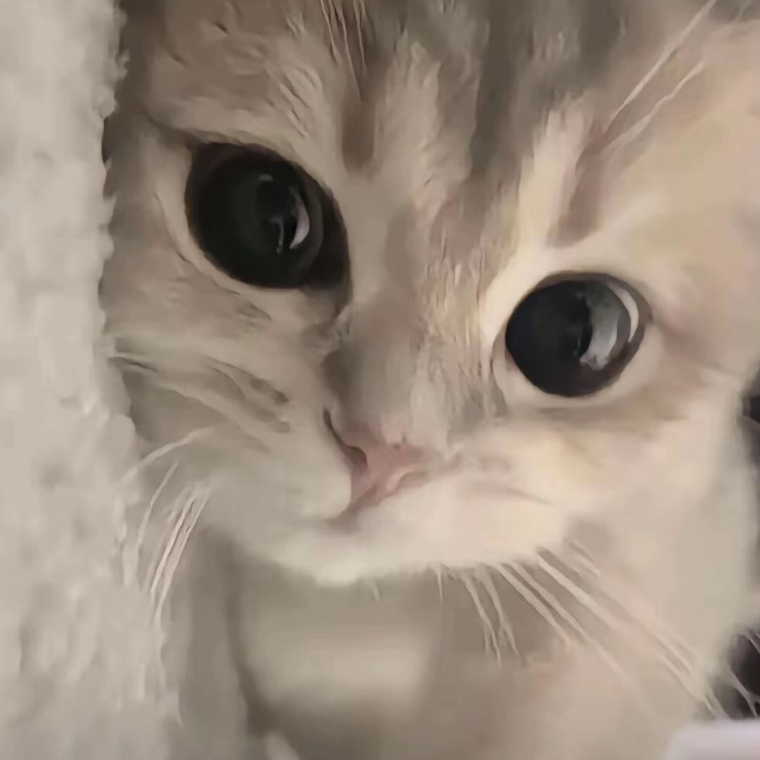 小哭包？？