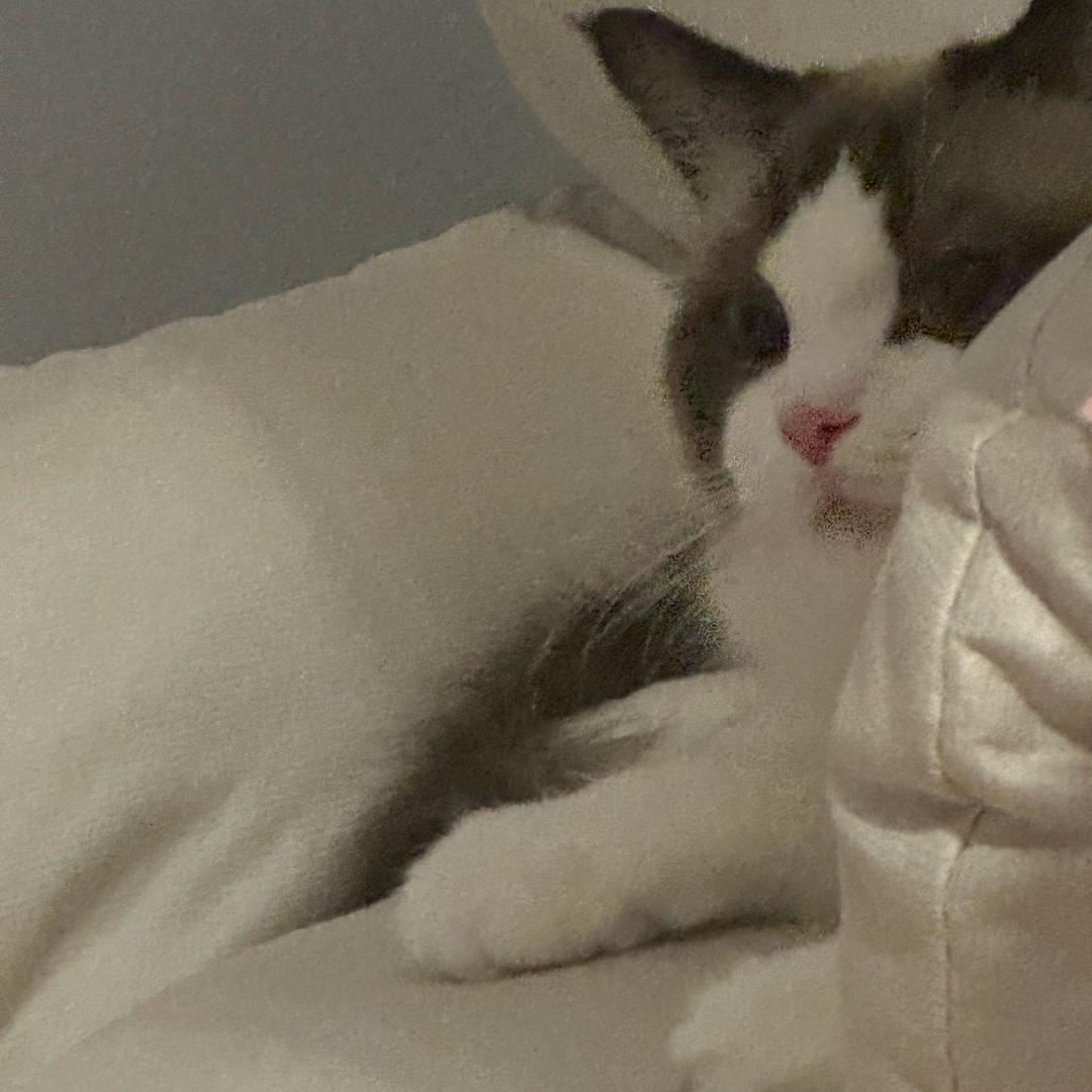 鄂州市泰润二有限公司