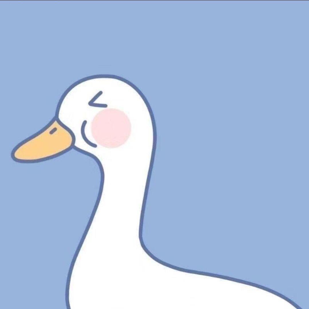 相机的医生🧑‍⚕️