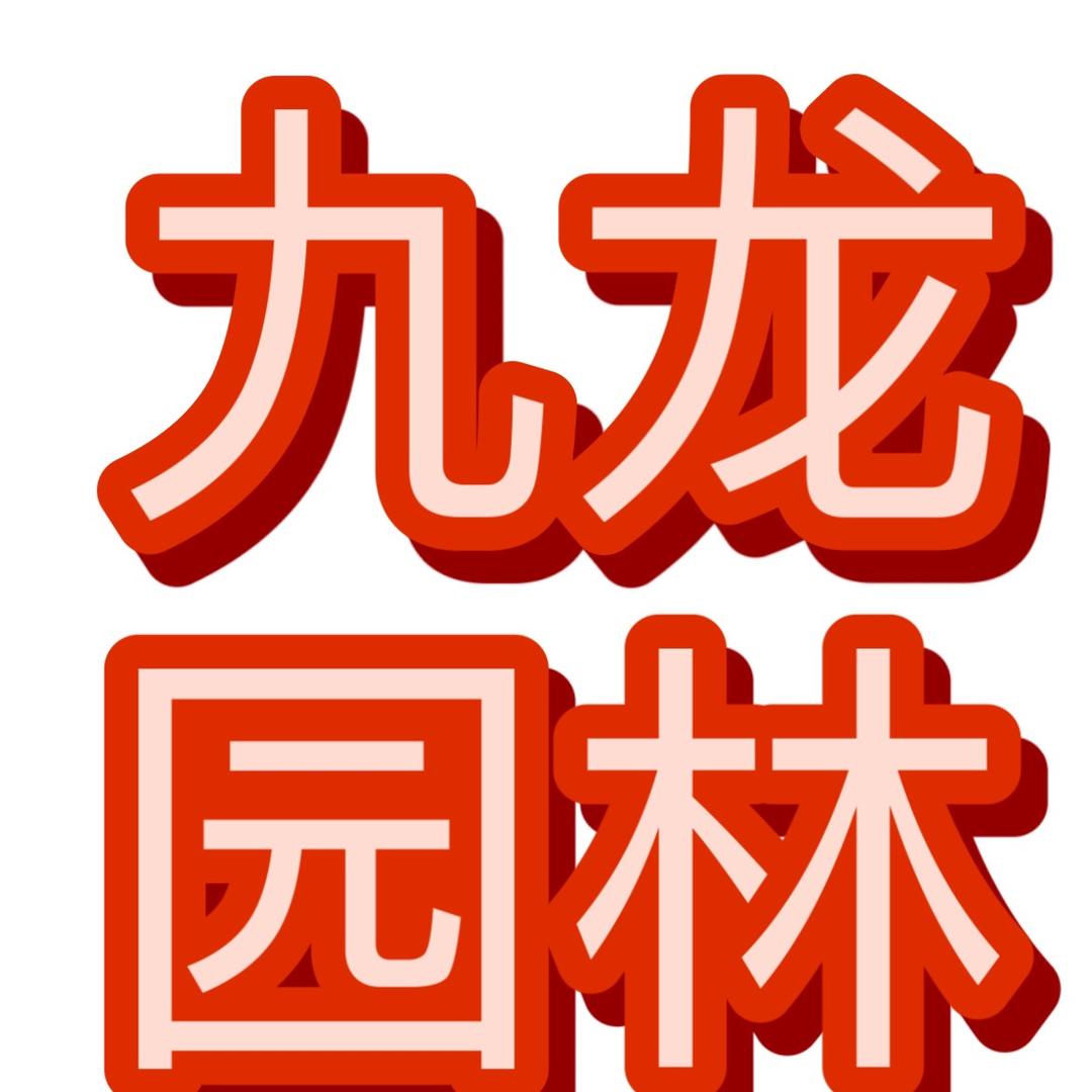 邢台九龙园林景观