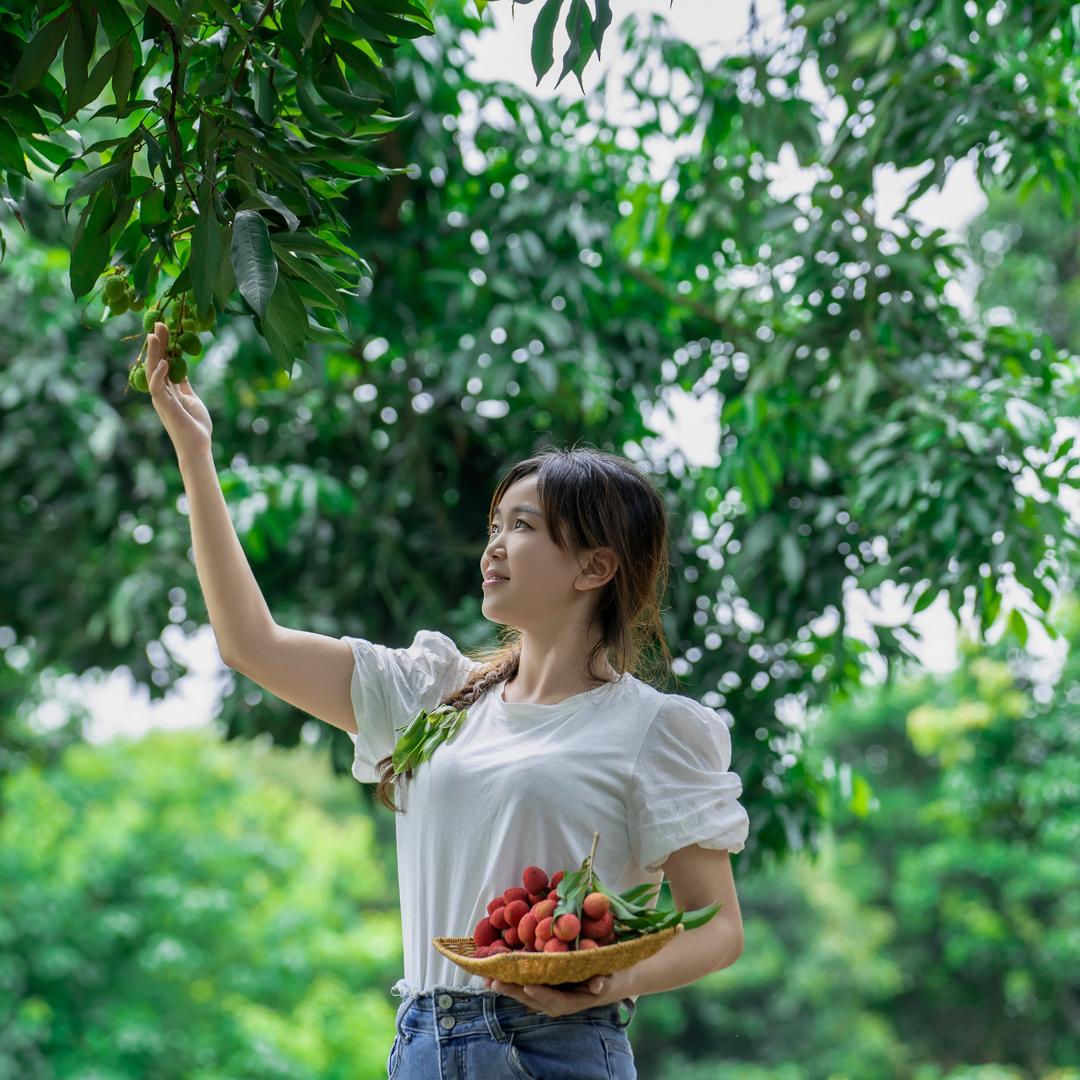 川江梁妹儿
