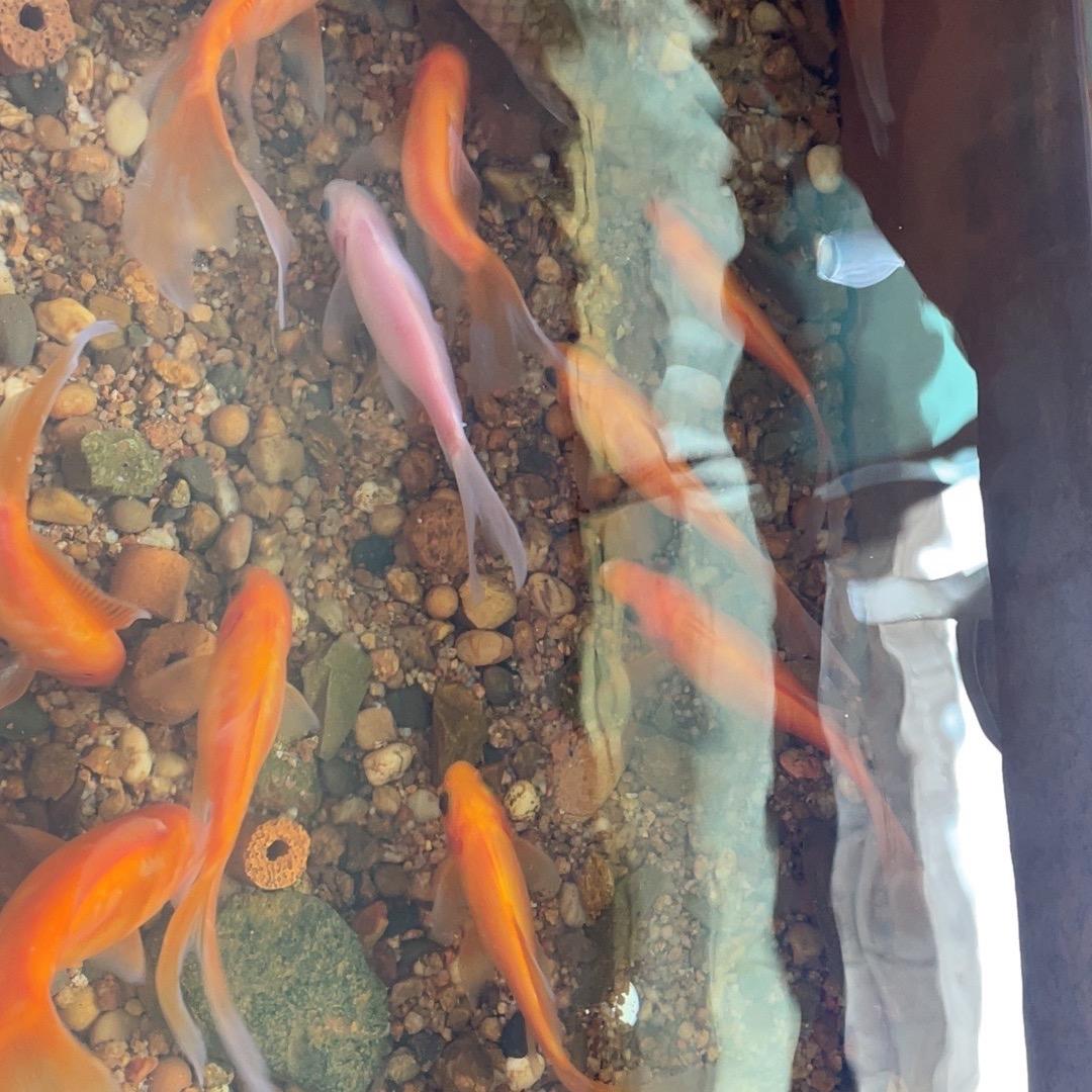 人才