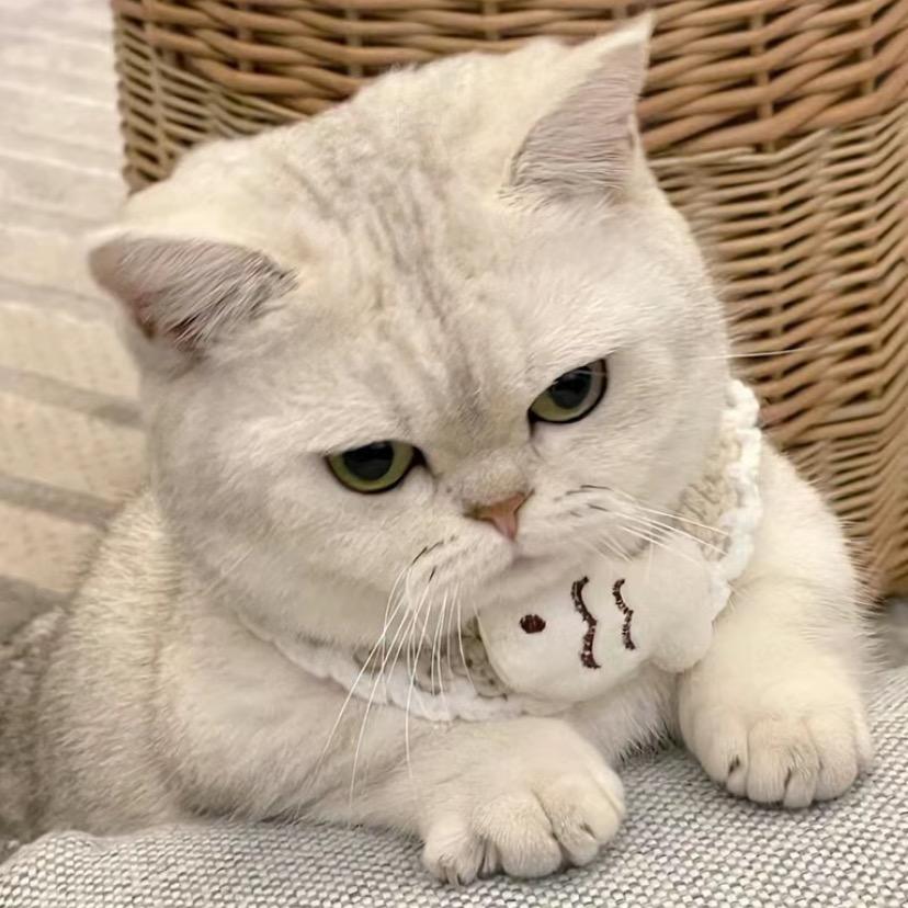 我嘞乖