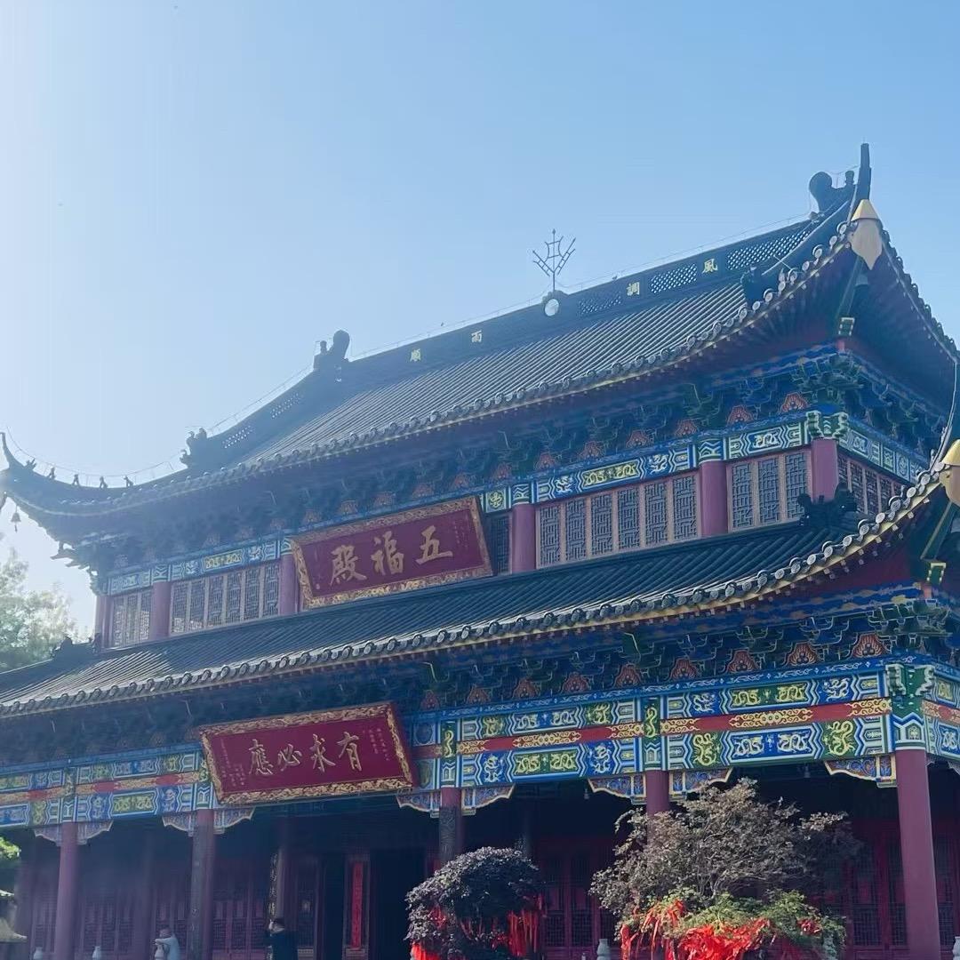 曼曼师姐