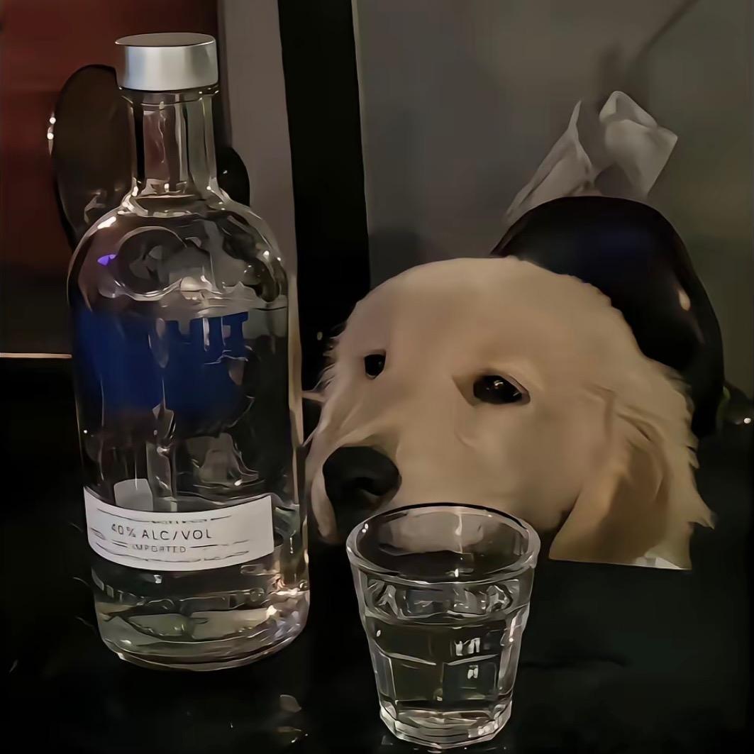 月-