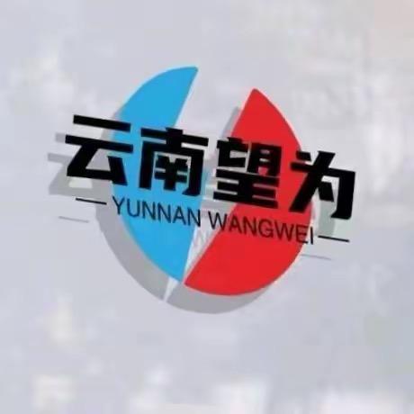 云望为企业 白鑫