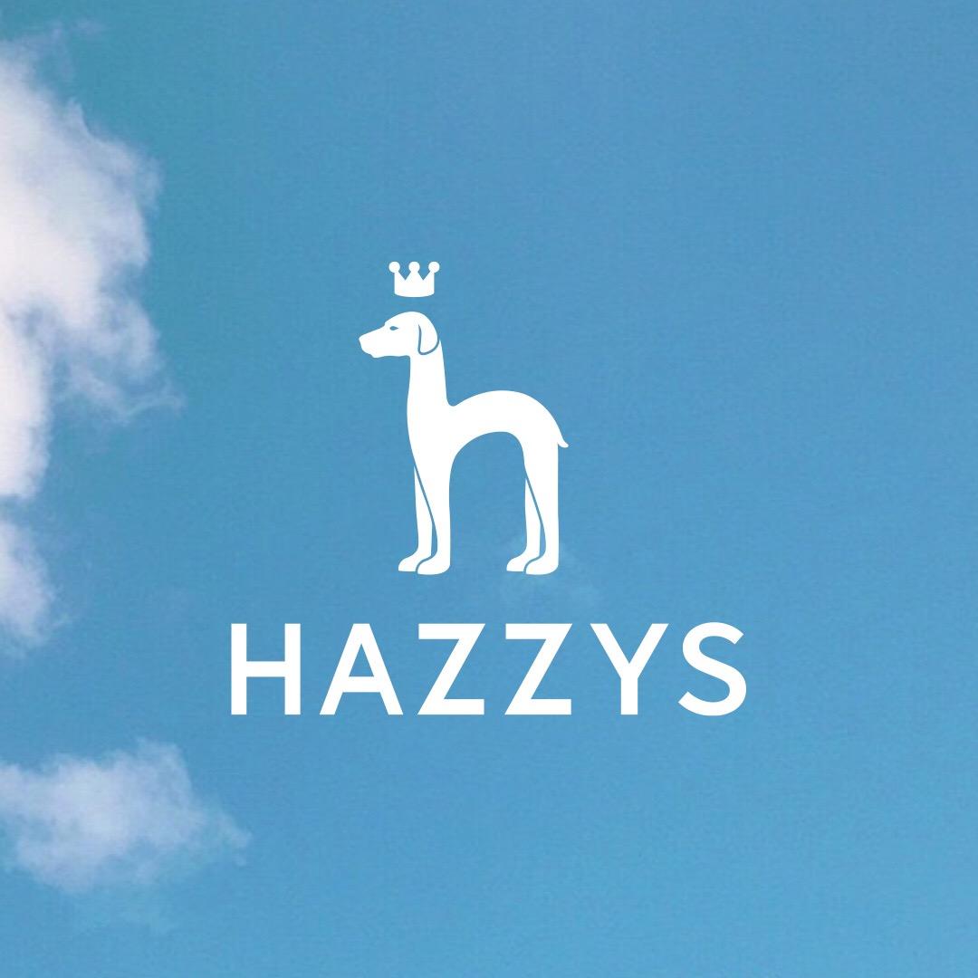 Hazzys哈吉斯男装旗舰店