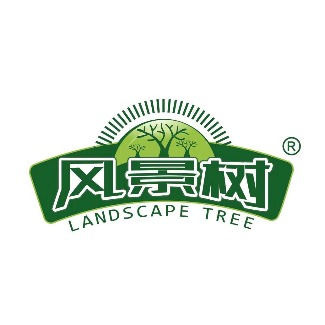 风景树涂料专卖店