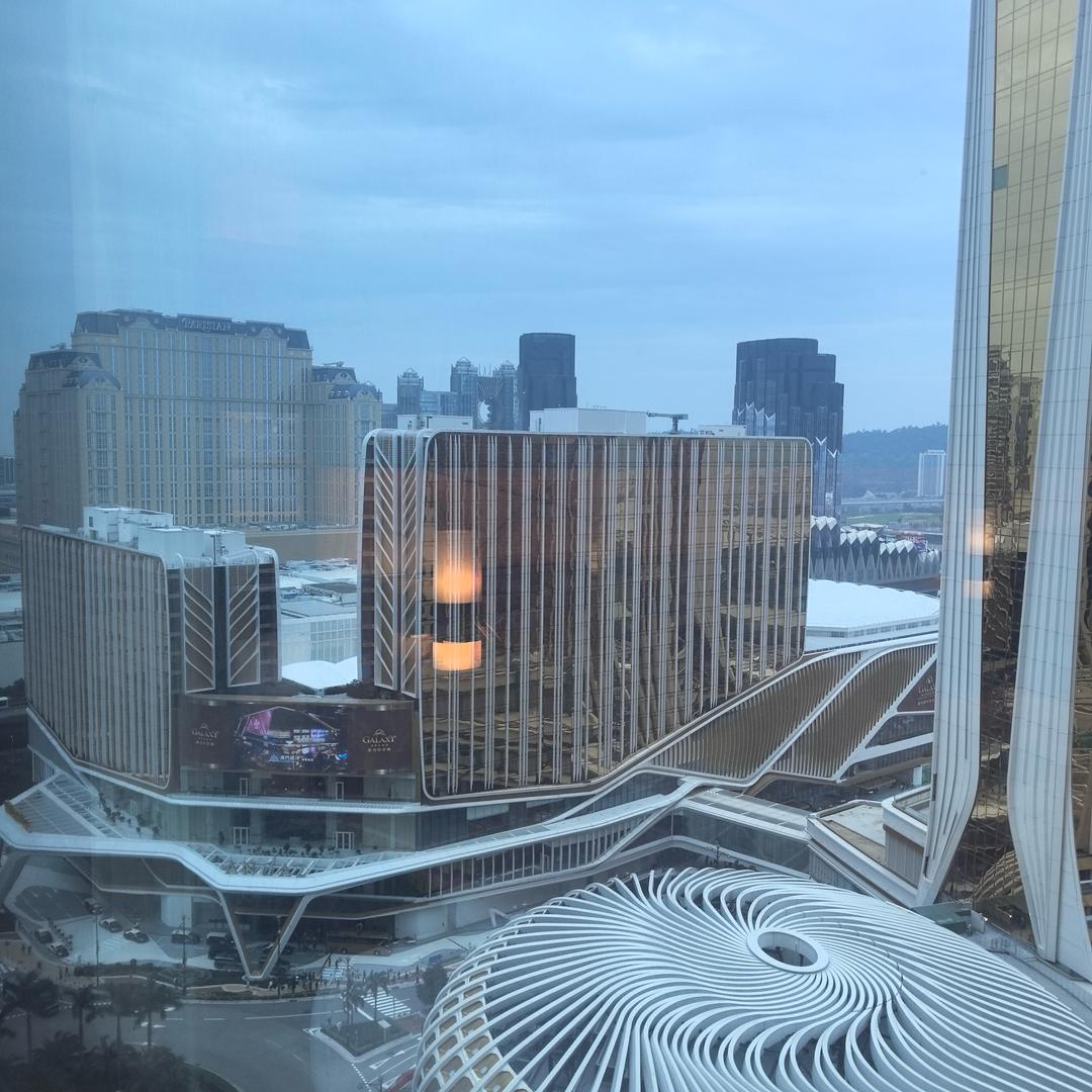 摘果大队